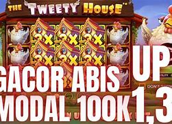 The Tweety House Slot Hari Ini Live Draw Sydney Tercepat